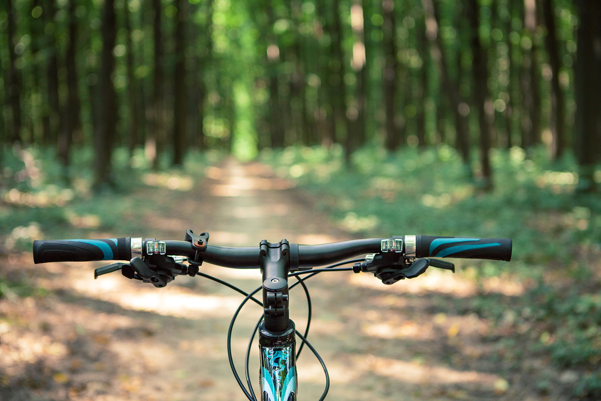 The Top 6 Ohio Locations to Bike The Top 6 Ohio Locations to Bike
