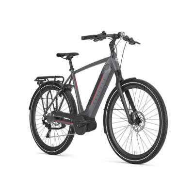 Gazelle Ultimate T10