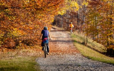 Bike Through Holmes County