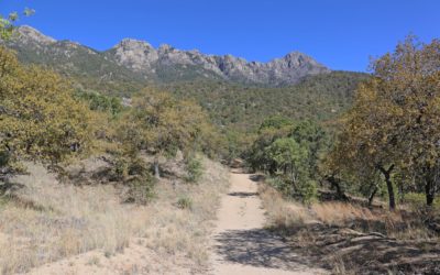 Best Winter Cycling Locations