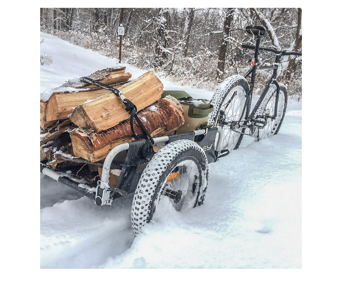 Burley Flatbed Cargo Trailer - Image 5