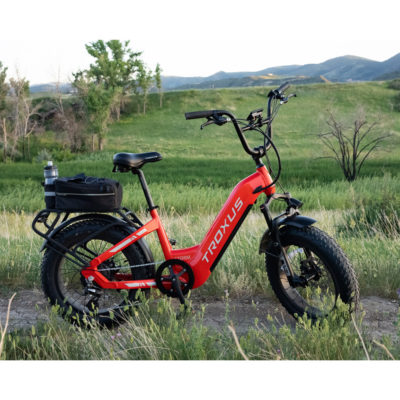Troxus Lynx 20" Fat Tire